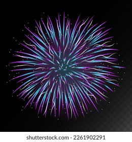 Brightly Colorful Fireworks. Firework. Firecracker rockets bursting.