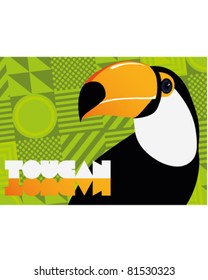 Brightly illustrated toucan