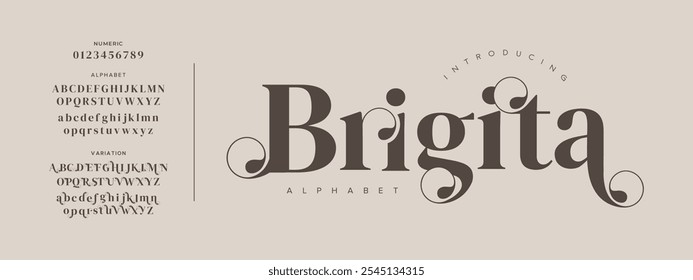 Brigita typography beauty fashion elegante minimalista serif italic Fuentes decorativas de la boda vintage retro logos. Logotipo de alfabeto de fuente de lujo mínimo. Ilustración vectorial