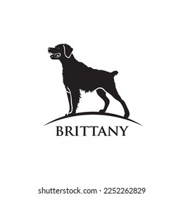 Briittany dog - isolated vector illustration