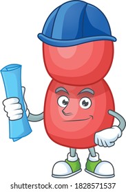 brilliant Architect neisseria gonorrhoeae mascot design style with blue prints and helmet. Vector illustration