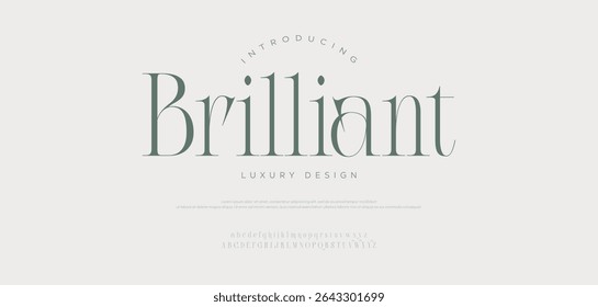 Brilliant Elegant beautiful classic classy modern serif alphabet font typeface typography. Vector Illustrator.	
