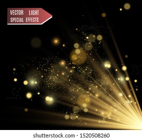 Brilliant gold dust vector shine. Glittering shiny ornaments for background. Vector illustration.
