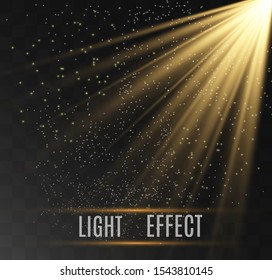 Brilliant gold dust vector shine. Glittering shiny ornaments for background. Vector illustration.