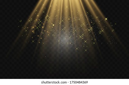 Brilliant gold dust vector shine. Glittering shiny ornaments for background. Vector illustration.