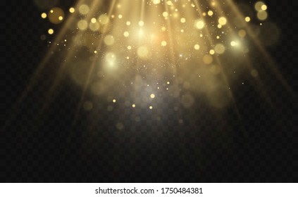 Brilliant gold dust vector shine. Glittering shiny ornaments for background. Vector illustration.