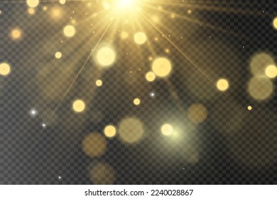 	
Brillante vectores de polvo de oro brillan. Brillantes adornos brillantes para el fondo. Ilustración vectorial.
