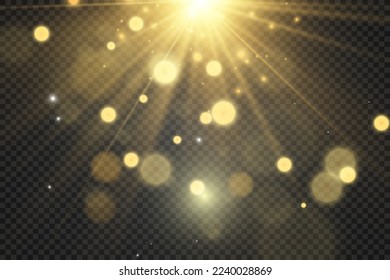 	
Brilliant gold dust vector shine. Glittering shiny ornaments for background. Vector illustration.
