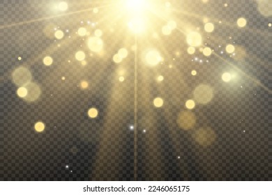	
Brillanter Goldstaub, Vektorgrafik. Glitzernde glänzende Ornamente für den Hintergrund. Vektorgrafik.