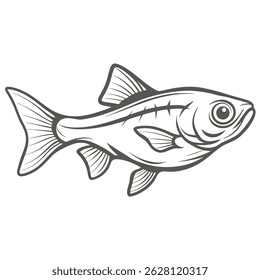 Brilliant Rasbora Fish Line Art Illustration