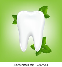 Brilliant White Tooth With Mint, On Green Background, Vector Illustration