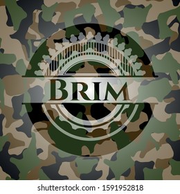 Brim camouflage emblem. Vector Illustration. Detailed.