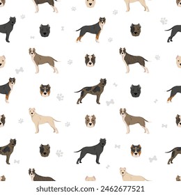 Brindisi fighting dog seamless pattern. Different coat colors and poses set.  Vector illustration