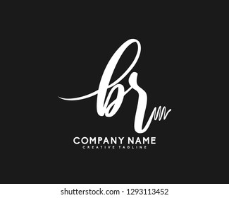 BRInitial Handwriting Logo Template Vector