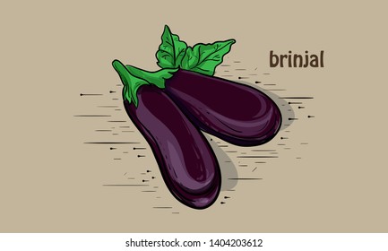brinjal illustration vector with colour 