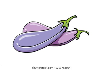vector de ilustración brinjal con color