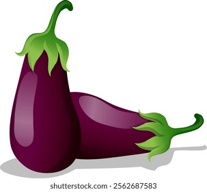 Brinjal vegetable vector, eggplant vegetable, purple brinjal illustration