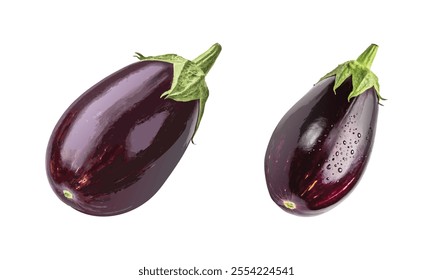 Brinjal vegetable whole fruit vector illustration.