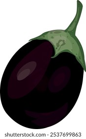 brinjal vegetable.Eggplant vector design. Solanum melongena.Eggplant, aubergine or brinjal is a species in the nightshade family Solanaceae.Brinjal Vegetable Vector design .