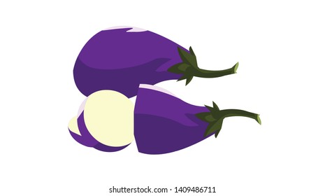 Brinjal vegetables, a slice and others full Brinjal - vector