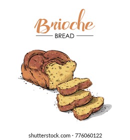 Brioche bread drawing. Sketch style. Vector.