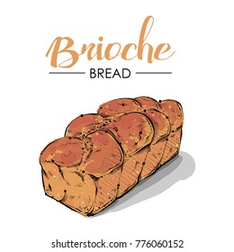 Brioche bread drawing. Sketch style. Vector.