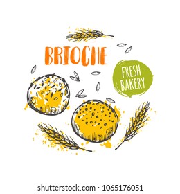 Brioche concept design. Hand drawn vector illustration. Can be used for badges, labels, logo, bakery, street festival, farmers market, country fair, shop, kitchen classes, cafe, food studio.