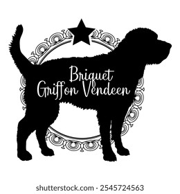 Briquet Griffon Vendeen dog silhouette, dog, dog breeds,  vector, silhouette, logo design, animal, illustration, icon, sign, black, pet