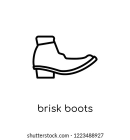 brisk boots icon. Trendy modern flat linear vector brisk boots icon on white background from thin line Brisk boots collection, outline vector illustration