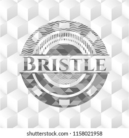 Bristle grey emblem with geometric cube white background