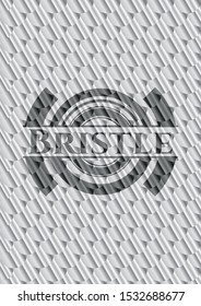 Bristle silver emblem. Scales pattern. Vector Illustration. Detailed.