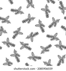 Bristlecone pine cones and branches. Christmas seamless pattern, vector illustration