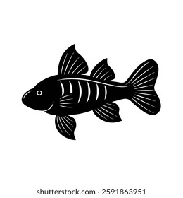 Bristlenose Pleco Silhouette Vector Art and Black Color Bristlenose Pleco Fish Illustration Design