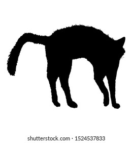 Bristling Cat SIlhouette. Vector Black Feline Logo.