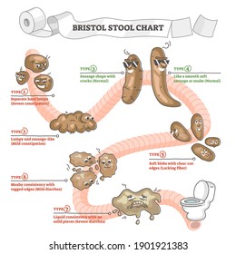 Bristol stool chart with excrement description and types outline concept. Healthy condition, severe constipation or mild diarrhea feces as educational comparison and labeled scheme vector illustration