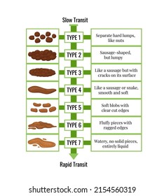 Bristol Stool Chart Faesces Form Classification: เวกเตอร์สต็อก (ปลอดค่า ...