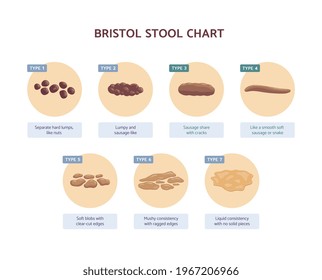 Bristol Stool Chart Medicine Description Human Stock Vector (Royalty ...