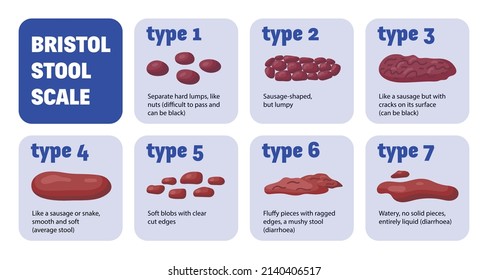 Bristol Stool Composition Chart Square Shaped Stock Vector (Royalty ...