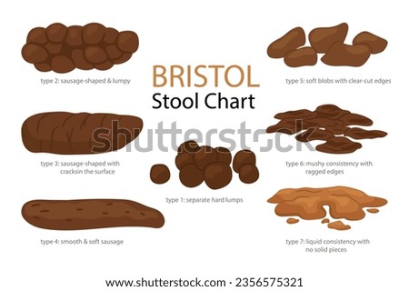 Bristol stool form scale with faeces type images. Set of different types human feces, excrement in normal and diseases of diarrhea and constipation. Vector isolated cartoon illustration