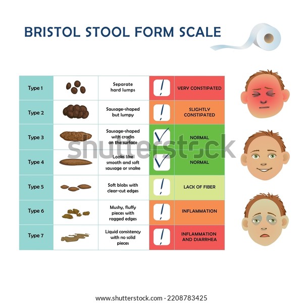 Bristol Stool Scale Table Medical Diagnostic Stock Vector (Royalty Free ...