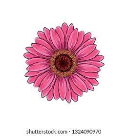 Brite pink magenta color with black and white line gerbera flower isolated. Hand-drawn contour lines and strokes. Vector flower gerbera. Element for design. Gerber Daisy sketch illustration.