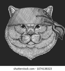 Brithish noble cat Male Cool pirate, seaman, seawolf, sailor, biker animal for tattoo, t-shirt, emblem, badge, logo, patch. Image with motorcycle bandana