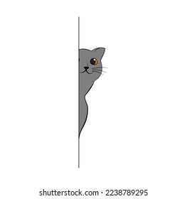 Britiish Shorthair Cat Peeking Out Behind Wall Vector Illustration
