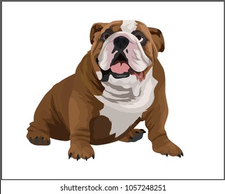 British Bulldog Lazy Cute Sit Down Happy Greeting Open Mouth Vector illustration Clip Art 