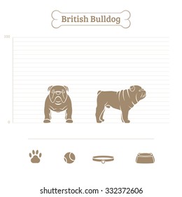 British Bulldog on the dimensional scale. Items for dogs. Face and profile. Vector illustration.