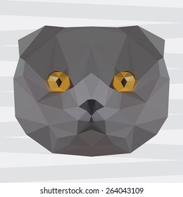 British cat. Abstract polygonal geometric triangle british cat portrait. Graphic british cat for use in design for card, invitation, poster, book. Nature, animal and wildlife theme.