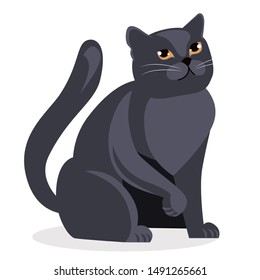 British cat big gray straight with yellow eyes on a white background. pet. vector illustration