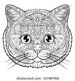 British cat face doodle coloring book page for adult. Vector illustration.