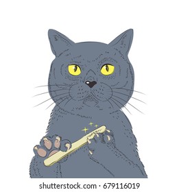 British Cat Hand Draw Vector. Sketch Illustration Of Geek Cat. Fashion Animal Illustration, Anthropomorphic Design, Furry Art, Hand Drawn Cat Breed Vector. For Poster, Or Print On Clothes.