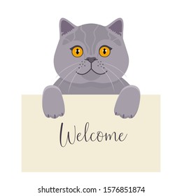 British cat holds banner. Vector flat illustration on white